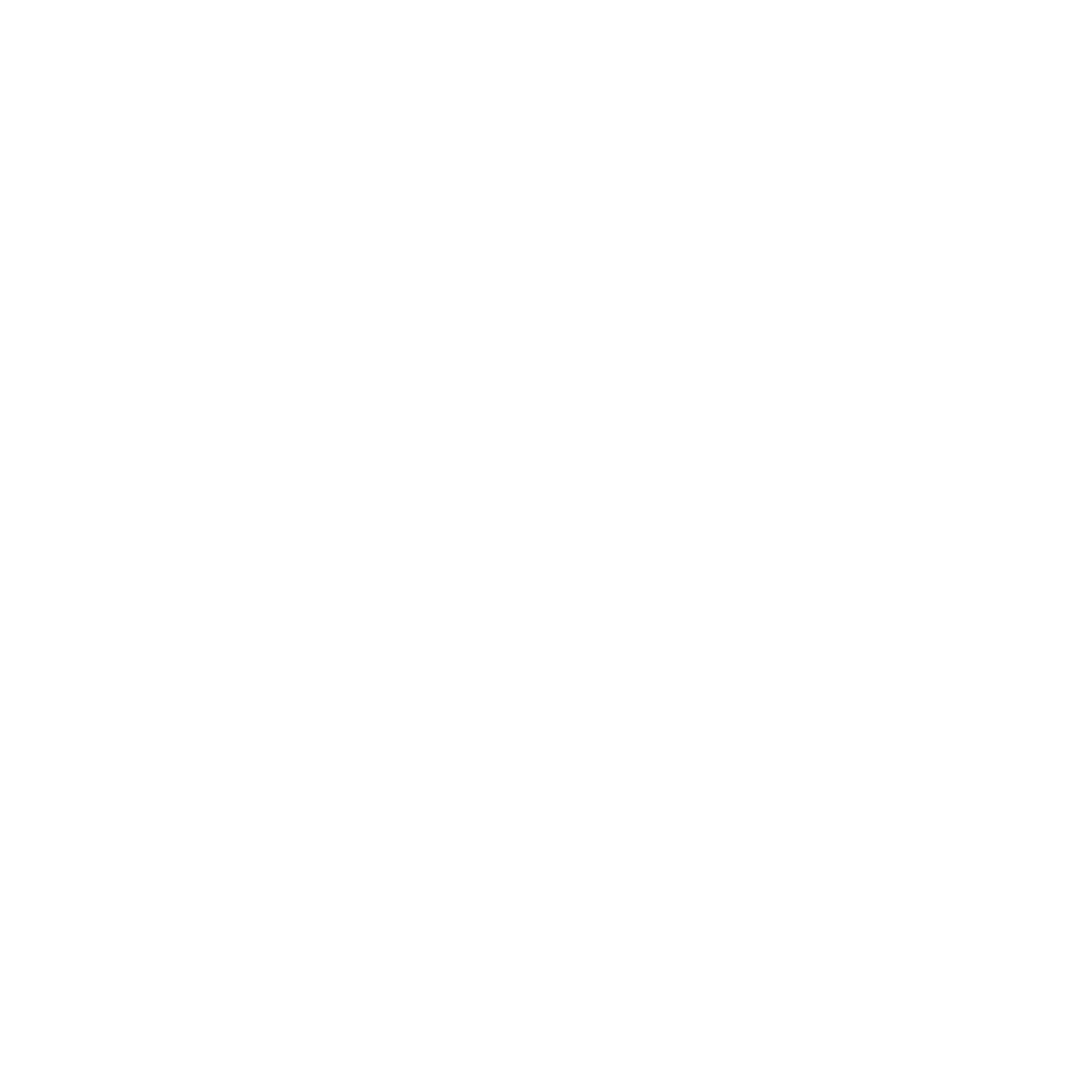 Denver Broncos